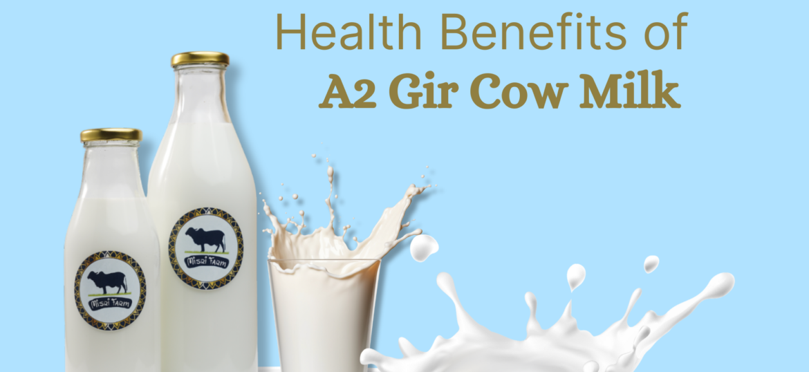 Misri Farm_Health benefits_A2 Gir Cow Milk