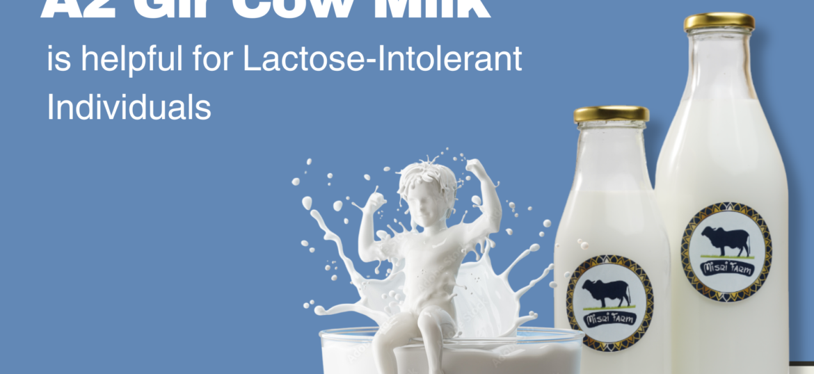 Misri Farm_Lactose-Intolerant_A2 Gir Cow Milk