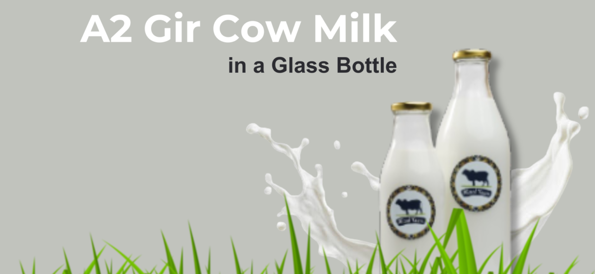 Misri Farm_Misrifarmofficial_A2 Gir Cow Milk_Glass Bottle