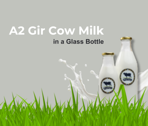 Misri Farm_Misrifarmofficial_A2 Gir Cow Milk_Glass Bottle