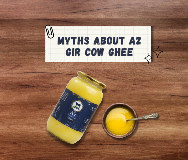 Misri Farm_Misrifarmofficial_Blog_Myths-A2-Gir-Cow-Ghee